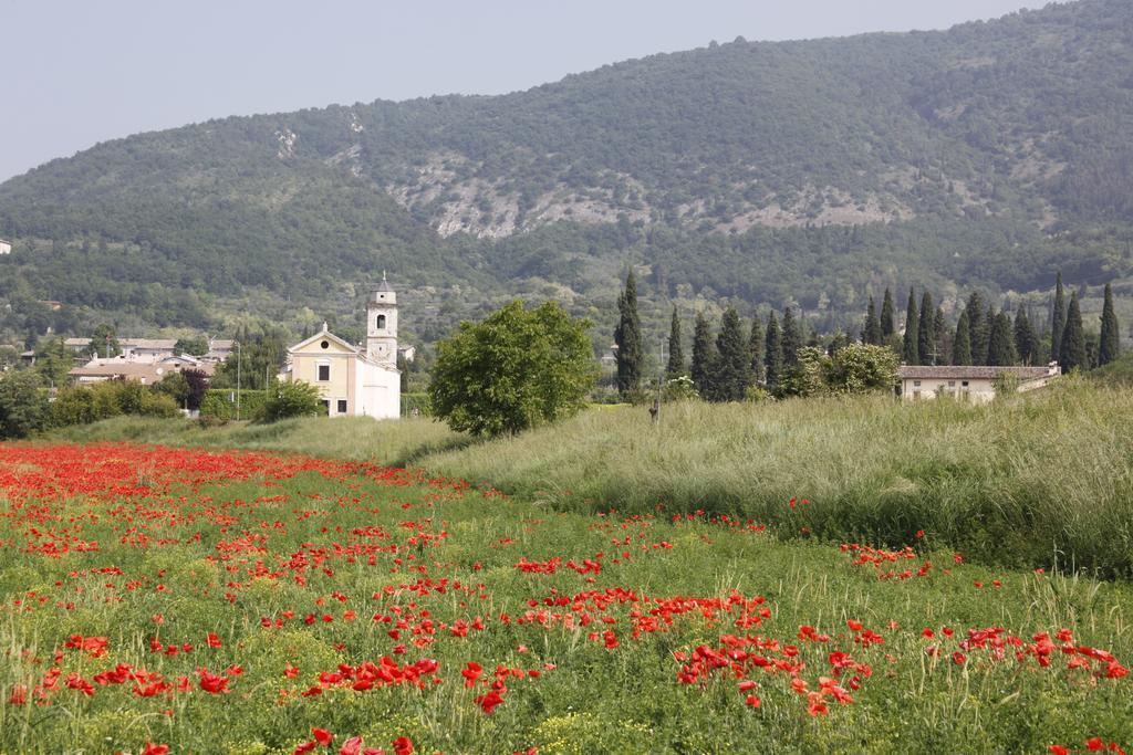 Agriturismo Corte Dei Fiori Caprino Veronese Dış mekan fotoğraf